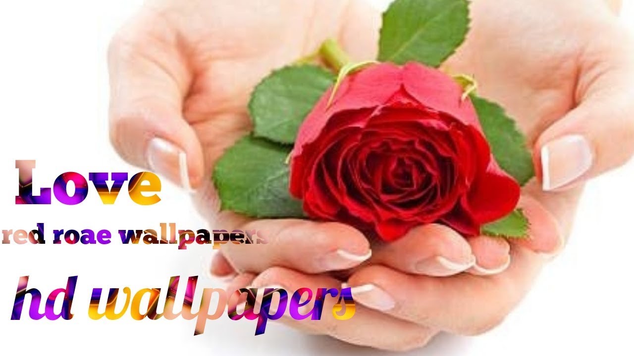 Bom Dia Deus Te Abencoe Top Imagens - HD Wallpaper 