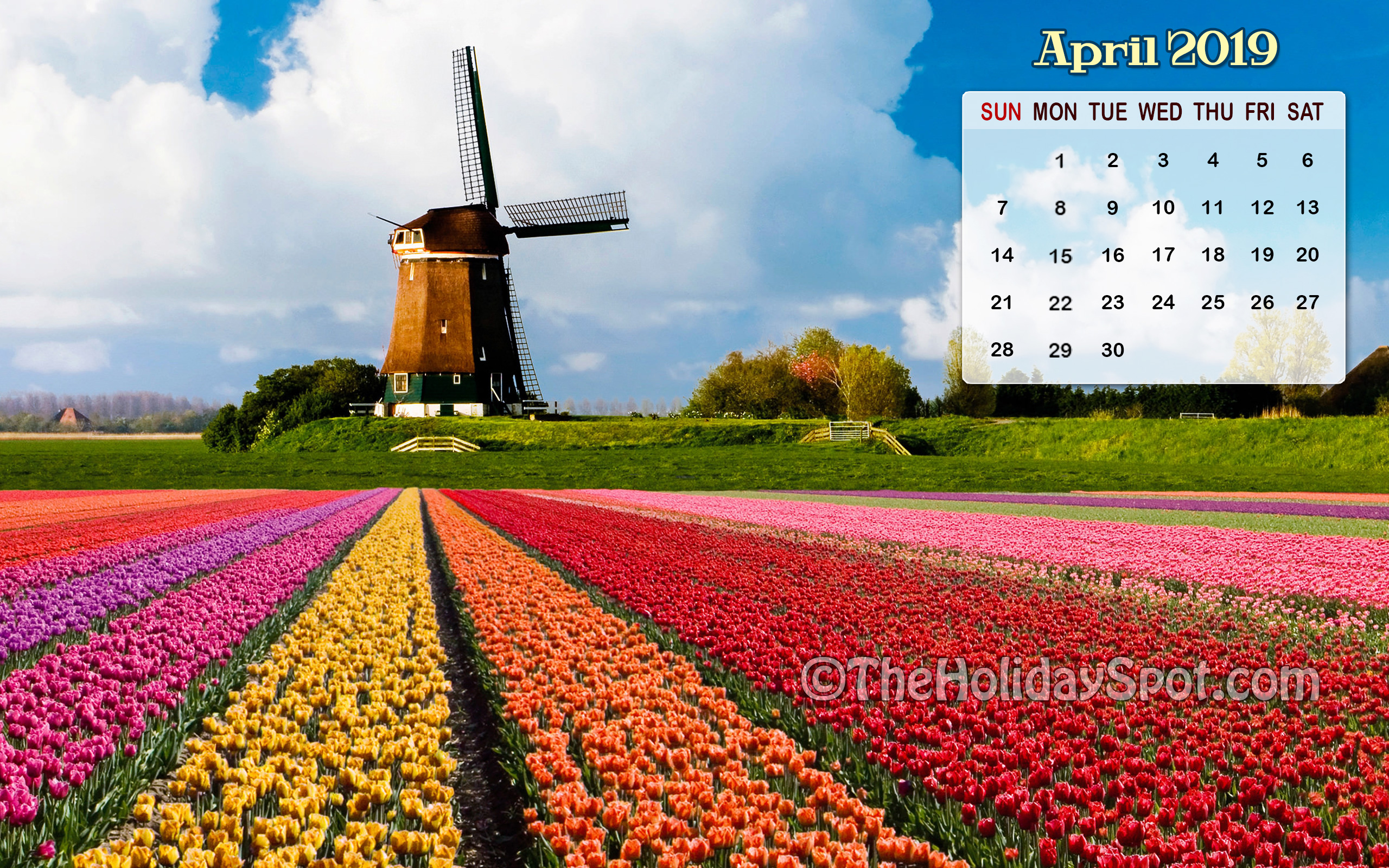 April 2019 Calendar Wallpaper Of Tulip Garden - April 2019 Calendar Screensaver - HD Wallpaper 