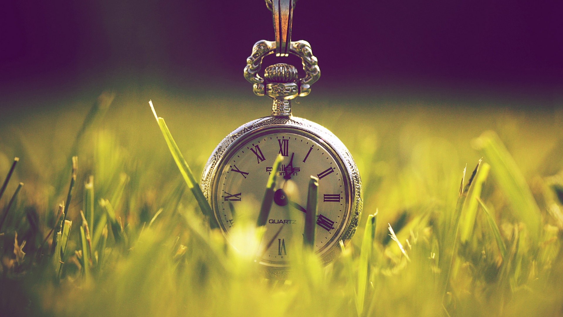 Wallpaper Pocket Watch, Grass, Chain, Cover, Design - Cover Photo Hd 1080p - HD Wallpaper 