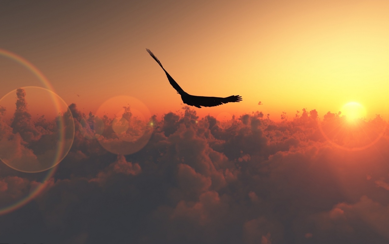 Freedom Wallpapers - Freedom Desktop - HD Wallpaper 
