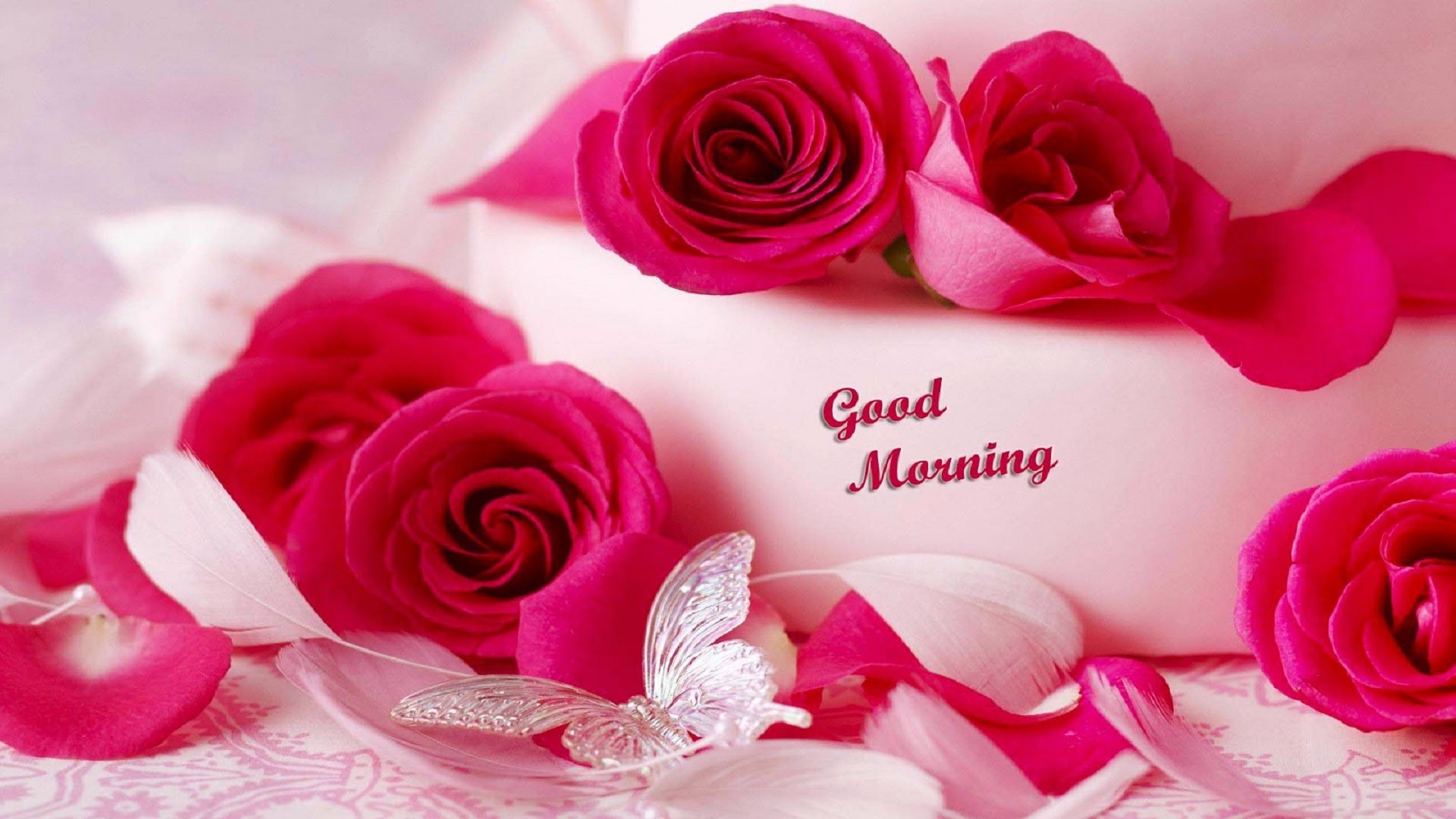 Beautiful Roses Good Morning Free Hd Wallpapers For - Beautiful Romantic Good Morning - HD Wallpaper 