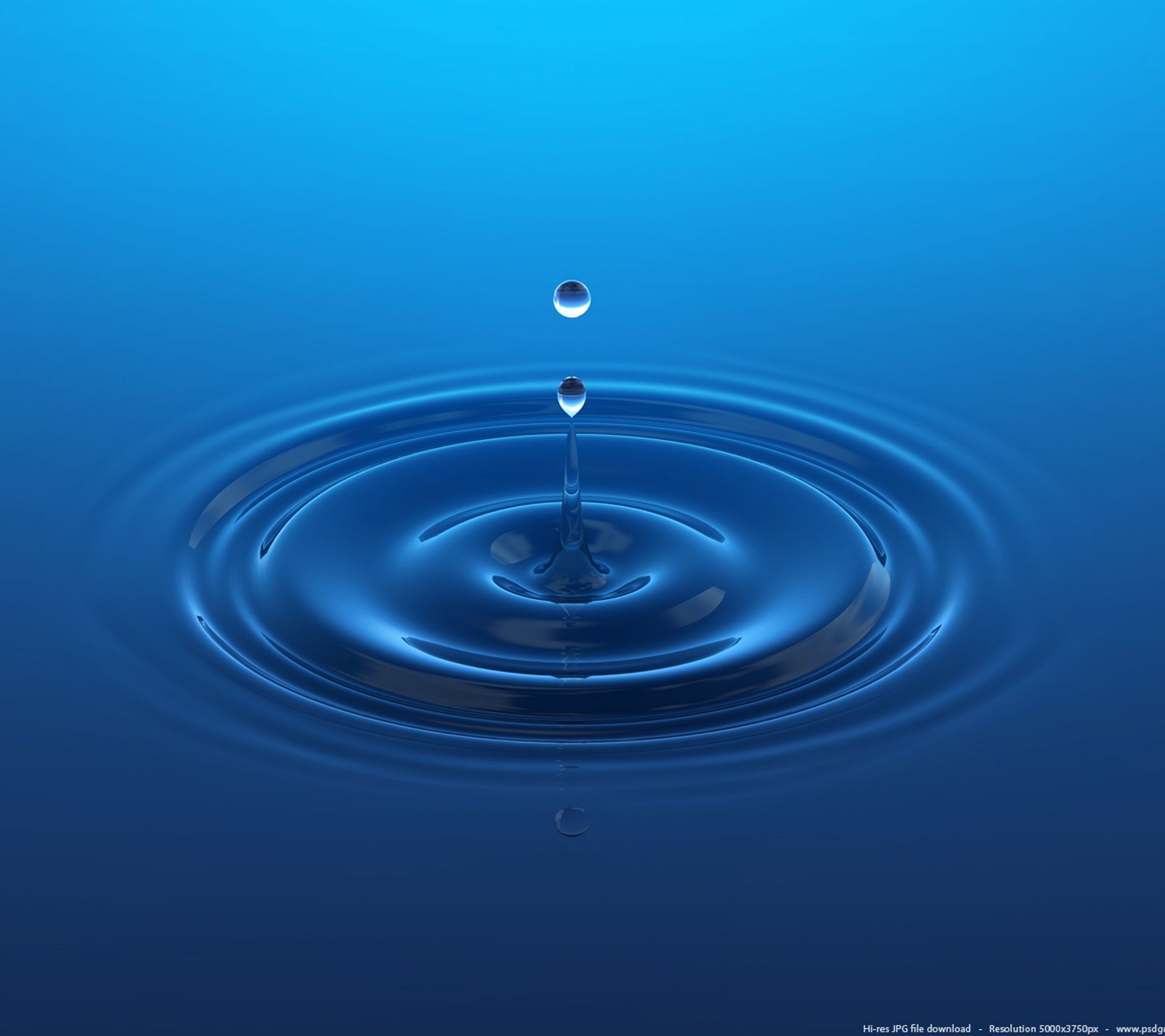 Water Drops - HD Wallpaper 