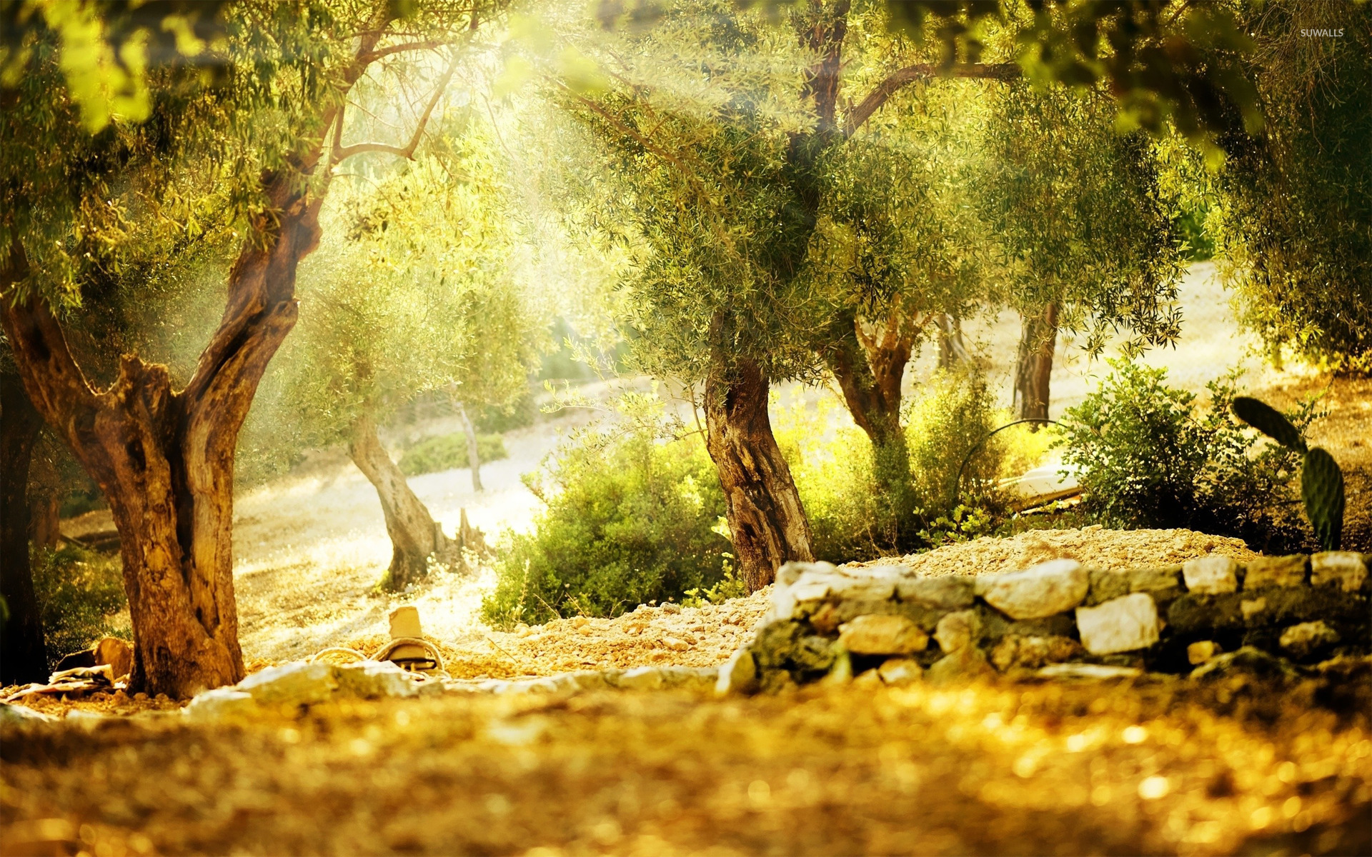 Nature Background Images Photoshop - 1920x1200 Wallpaper - teahub.io