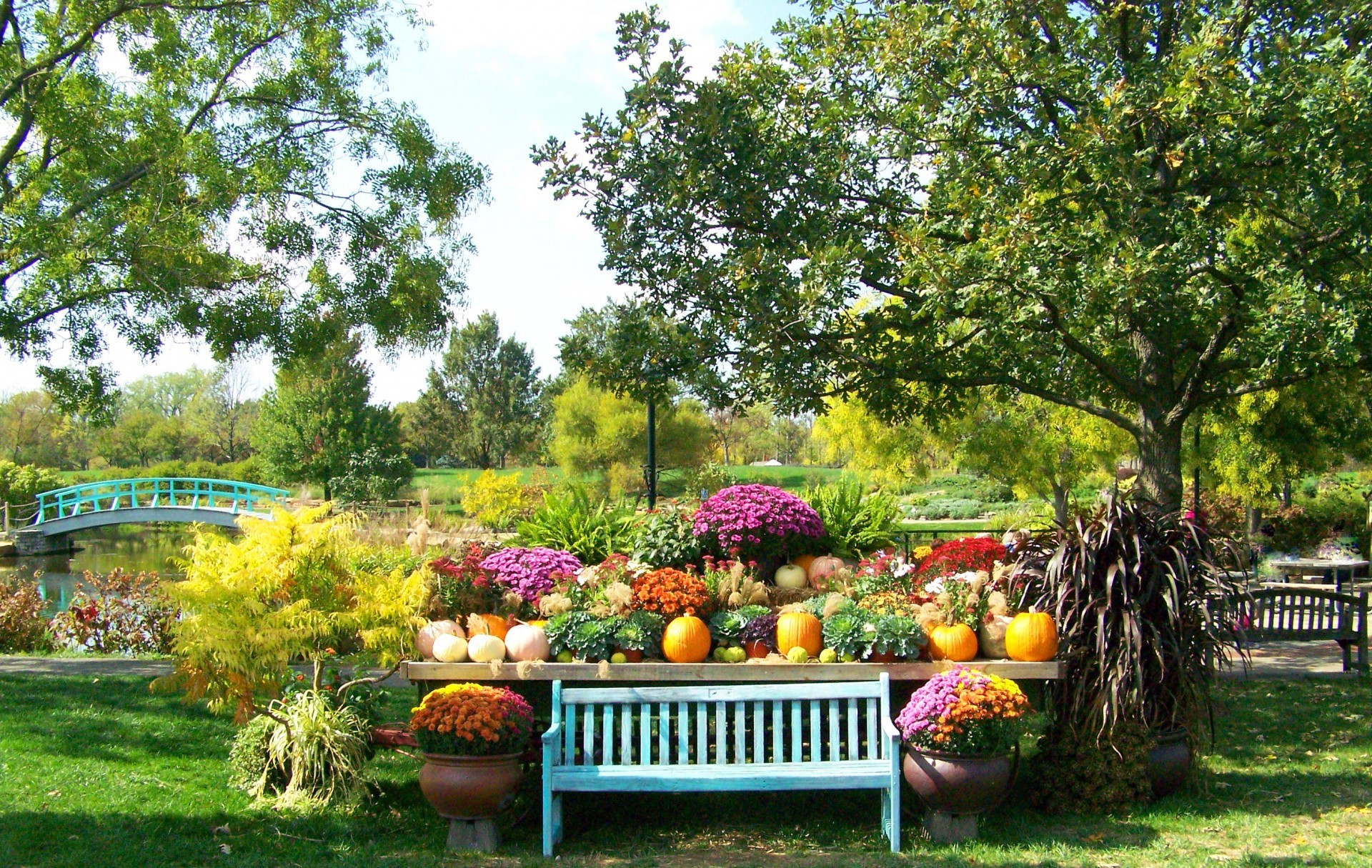 Park Wallpapers Full Hd - 1920x1215 Wallpaper Park Wallpapers Full Hd - 1920x1215 Wallpaper