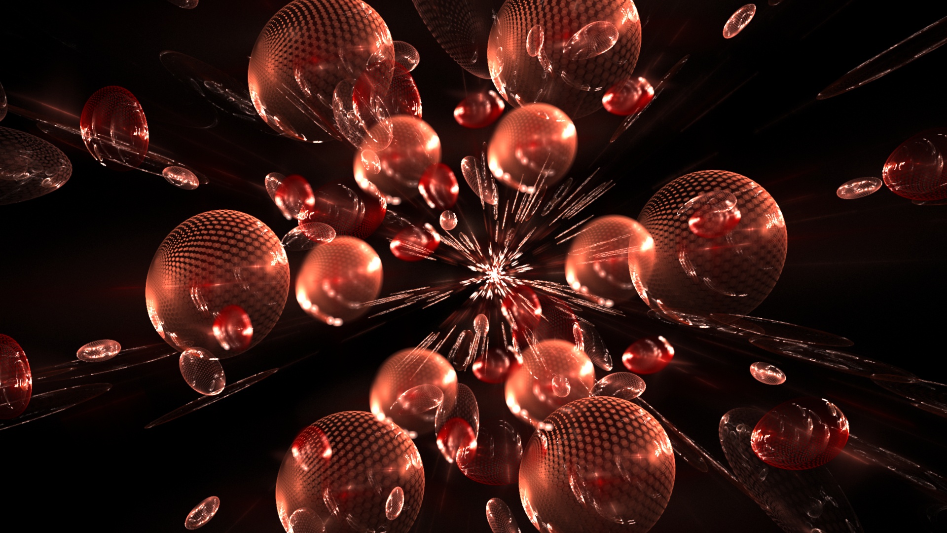 Macro Photography - HD Wallpaper 