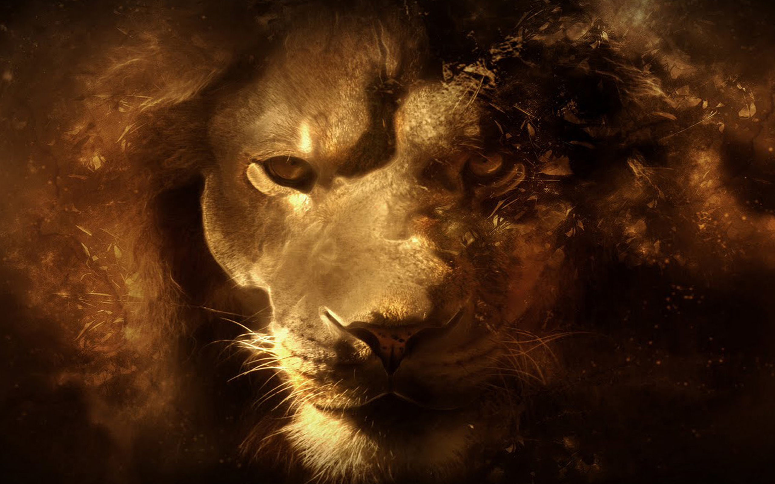 King Hd Background - HD Wallpaper 