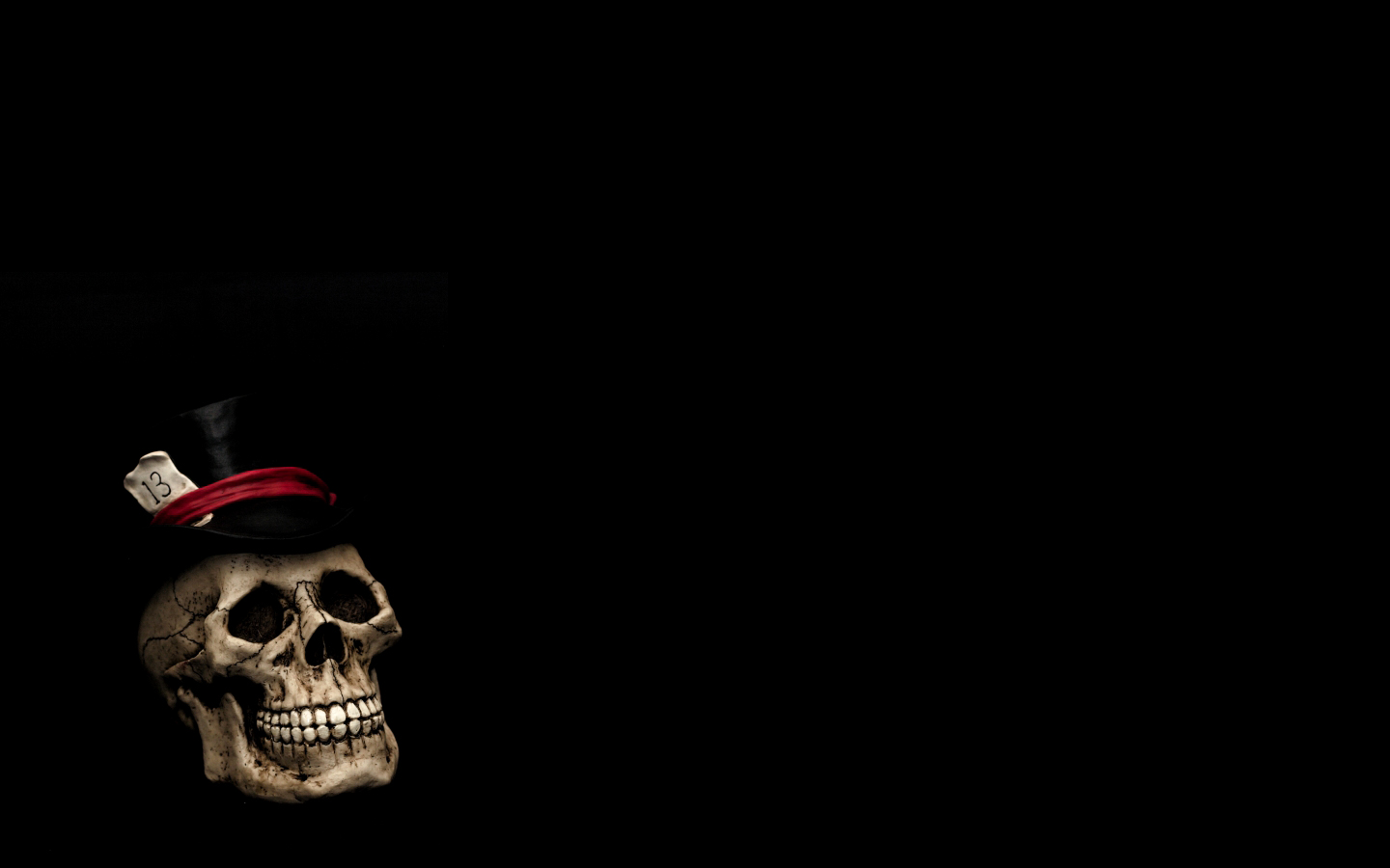 Skull - HD Wallpaper 