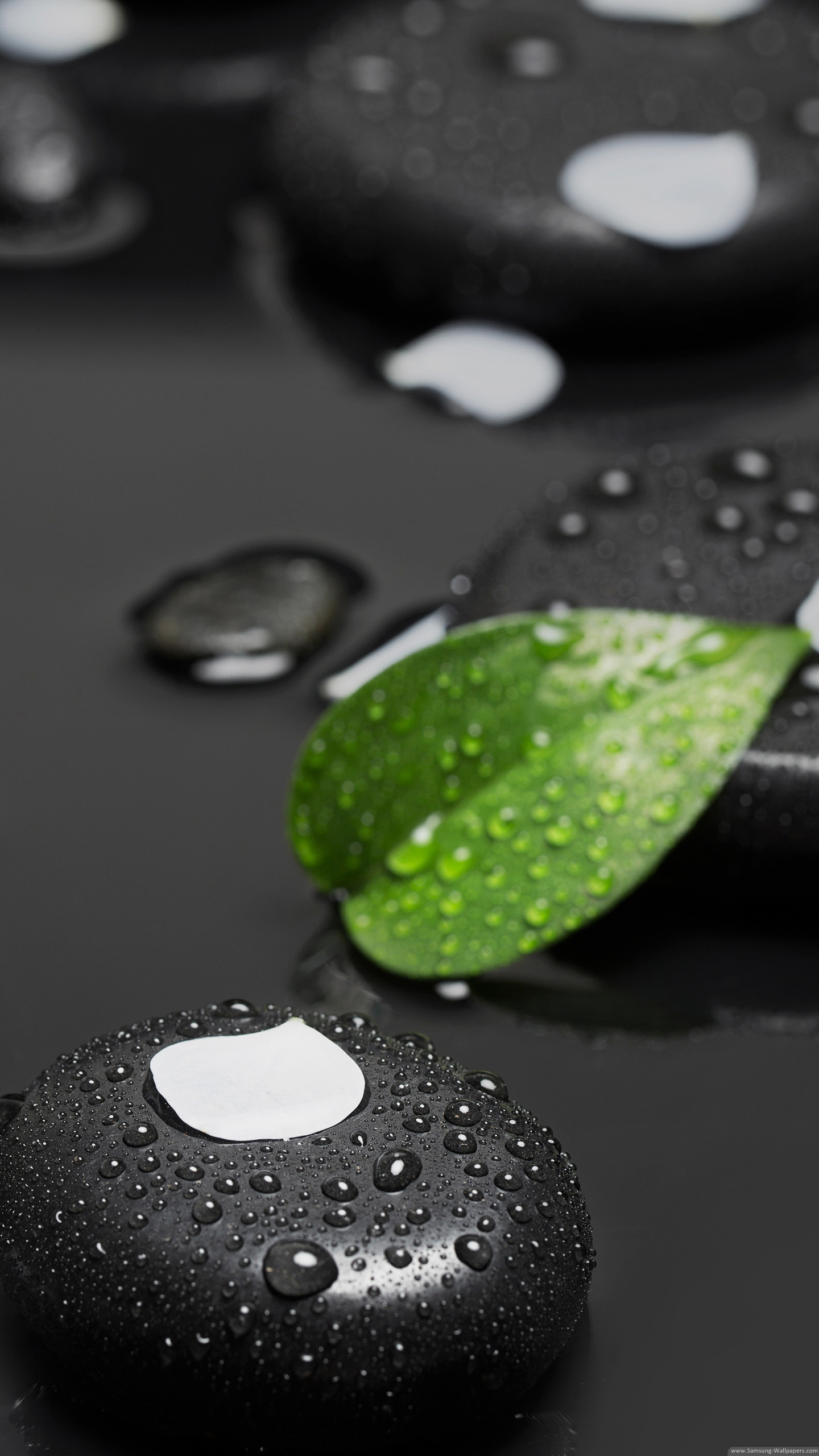 Drops Leaf Desktop Stock Samsung Galaxy Note 5 Wallpaper - Samsung Wallpaper Hd Note 5 - 1440x2560 Wallpaper Drops Leaf Desktop Stock Samsung Galaxy Note 5 Wallpaper - Samsung Wallpaper Hd Note 5 - 1440x2560 Wallpaper