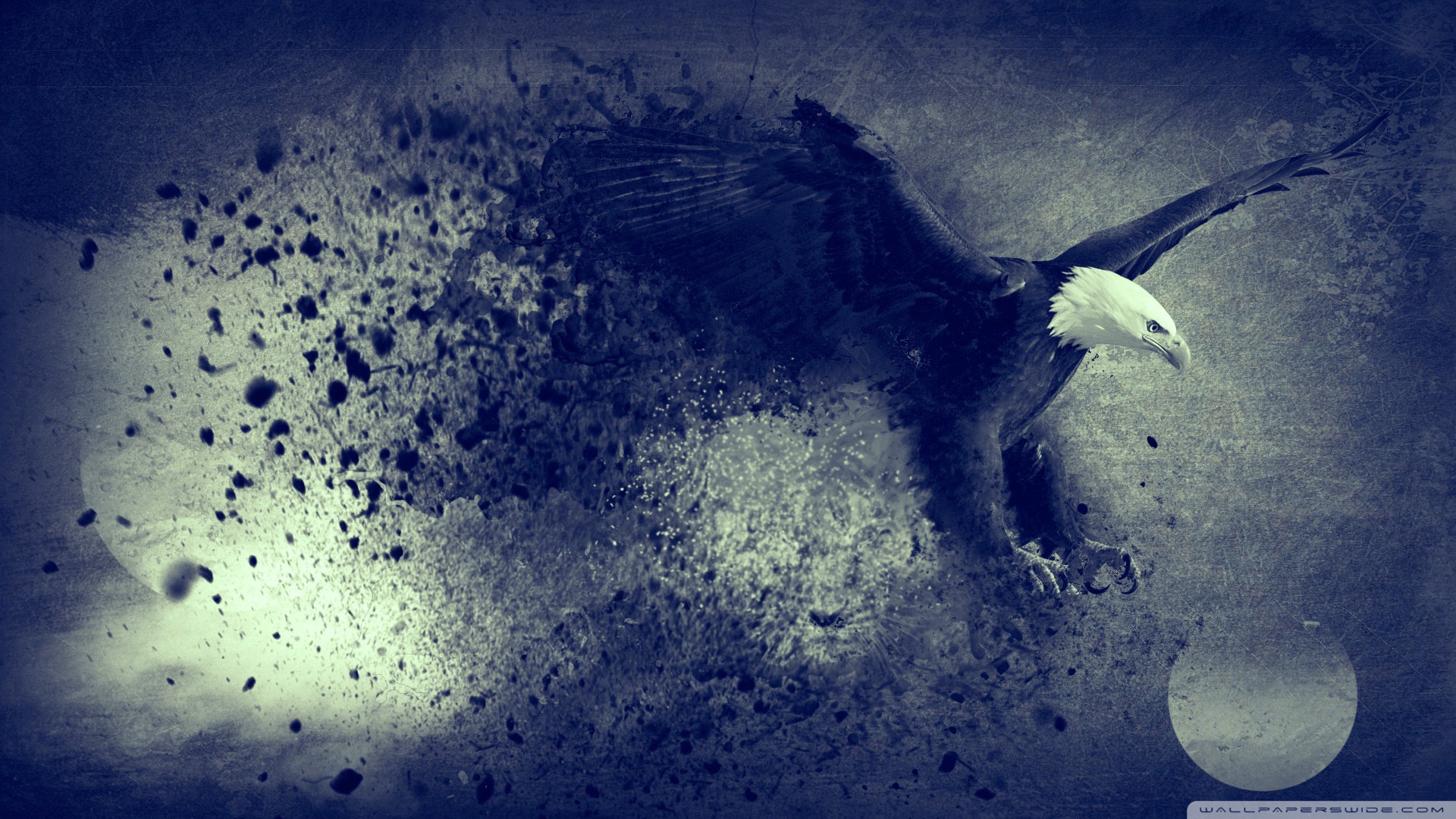 Eagle For Freedom - Black Eagle Background - HD Wallpaper 
