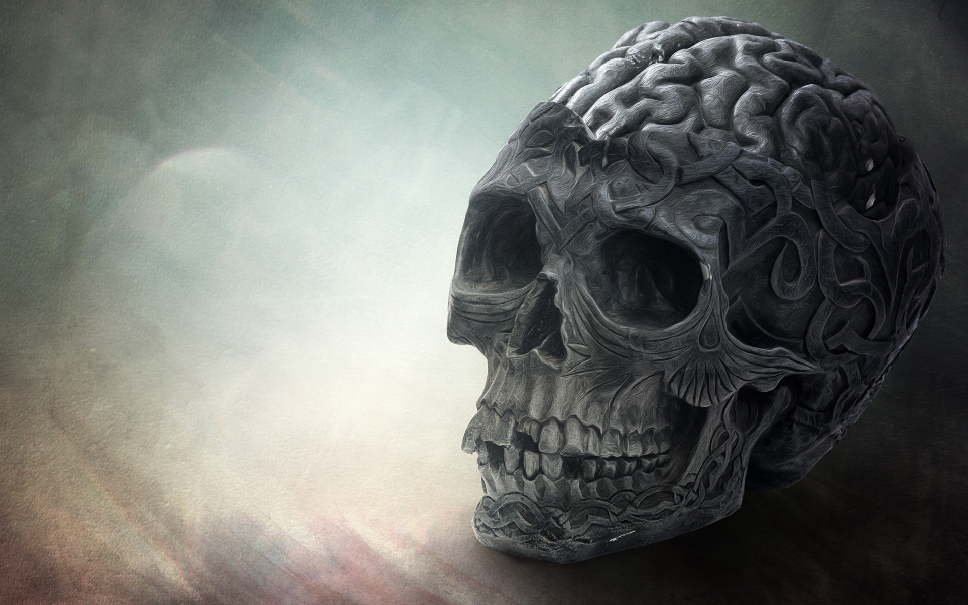 Brain Skull - Skull Brain - HD Wallpaper 
