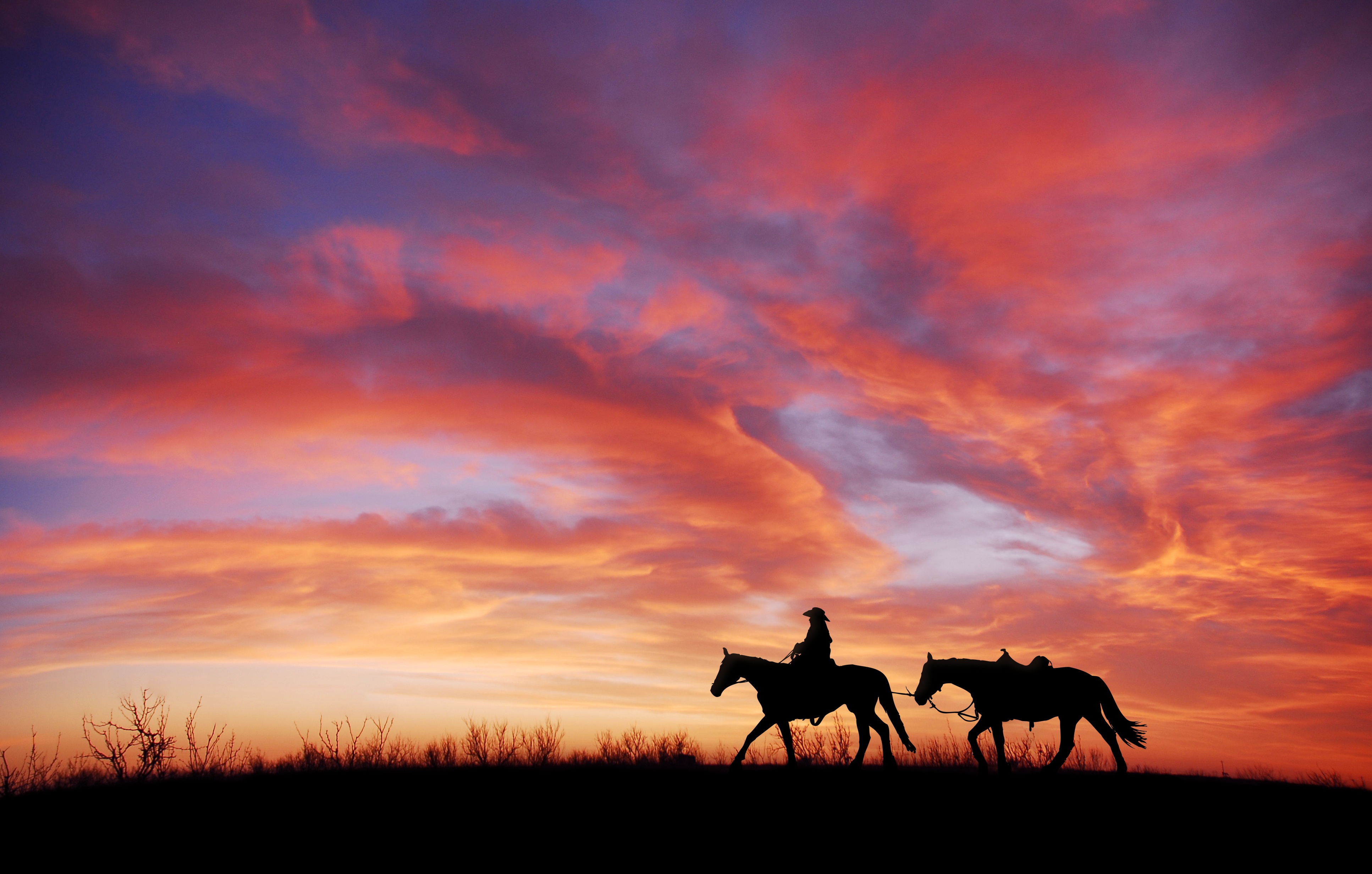 Horses In The Sunset - HD Wallpaper 