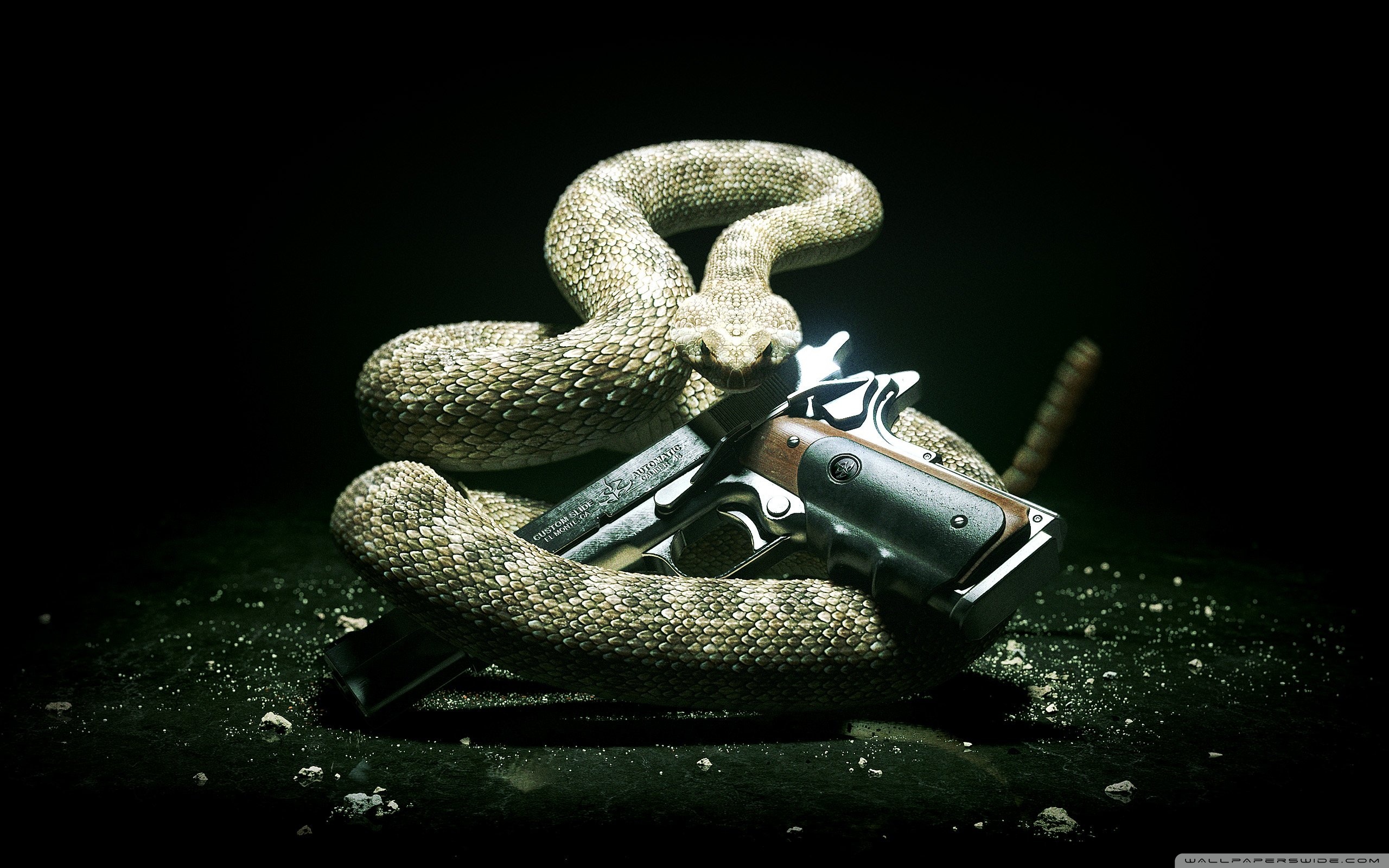Хитман Обои - HD Wallpaper 