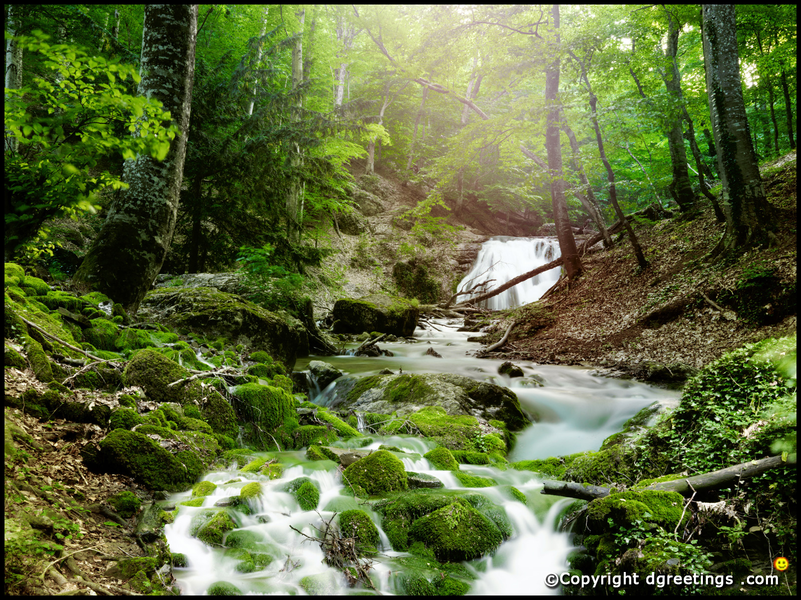 Waterfalls Wallpaper - Rios Con Agua Cristalina - HD Wallpaper 