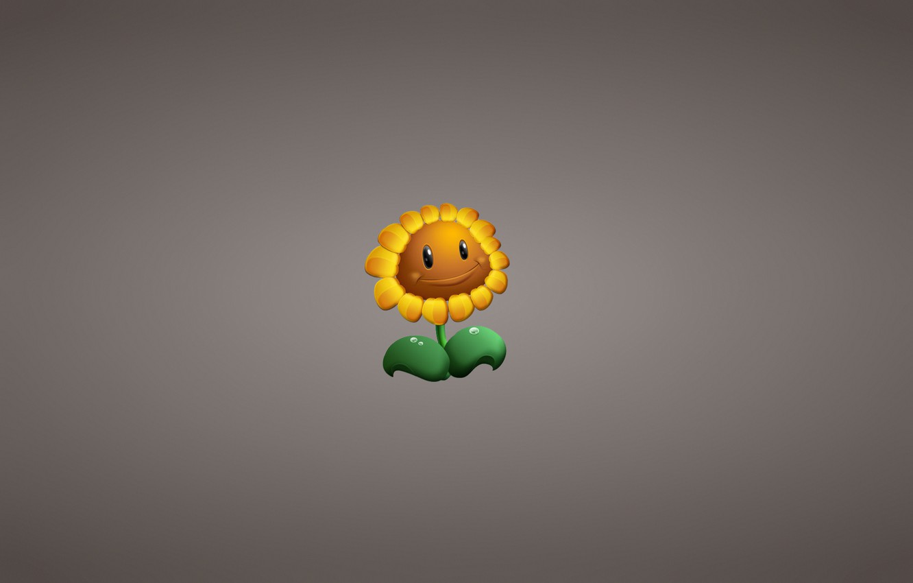 Photo Wallpaper Flower, Plant, Sunflower, Minimalism, - Plants Vs Zombies Sunflower - HD Wallpaper 