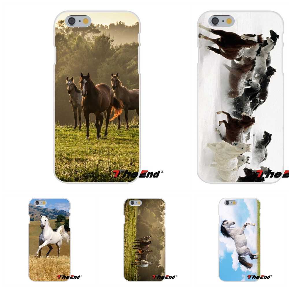 Wild Horse Running Hd Wallpaper For Samsung Galaxy - White Horse - HD Wallpaper 