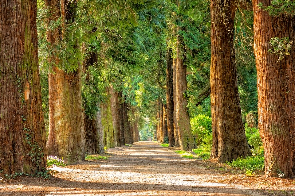 Nature For Stress Relief - HD Wallpaper 