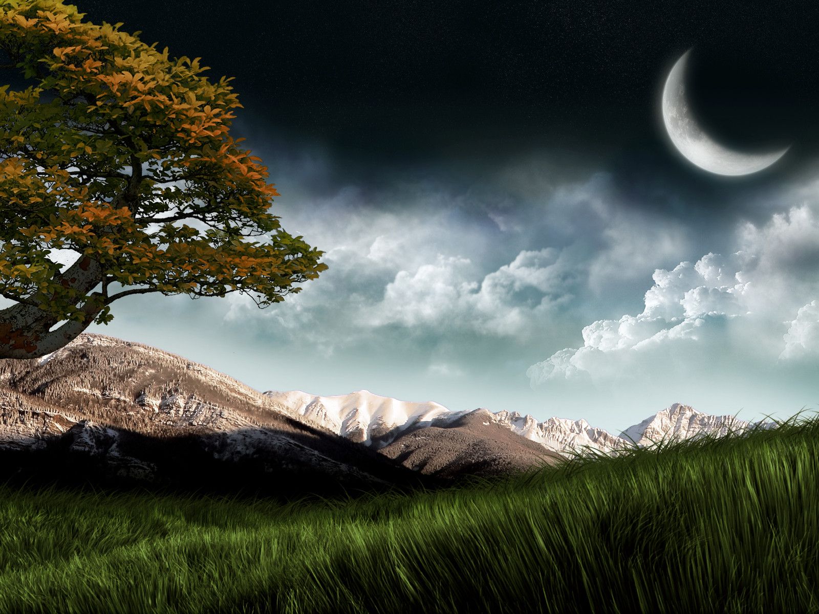 Beautiful Nature Hd 3d - HD Wallpaper 