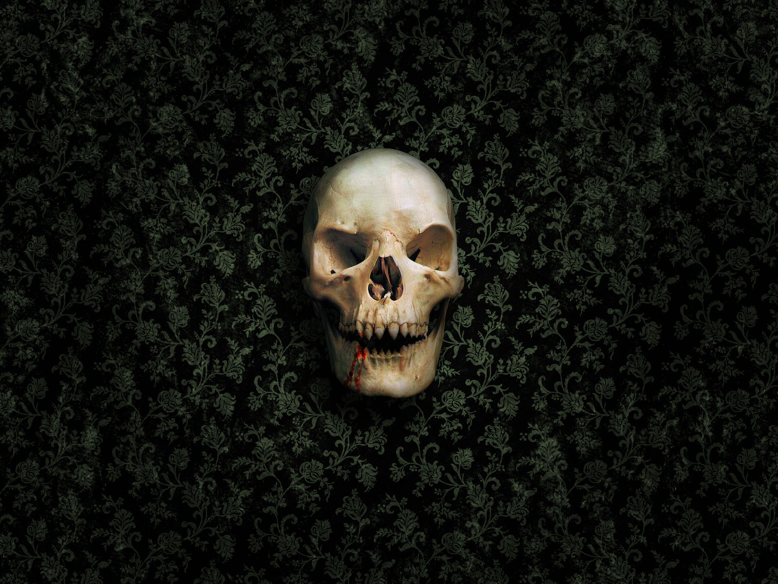 Skull Wallpaper - Fire Skull Wallpaper Hd - HD Wallpaper 