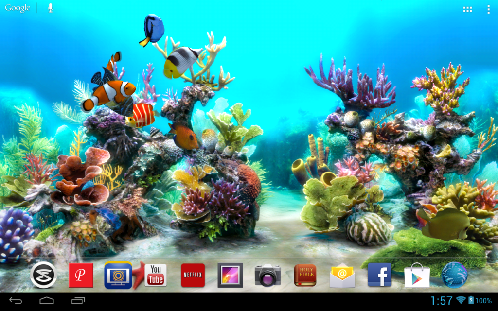 Laptop Live Wallpaper Fish - HD Wallpaper 