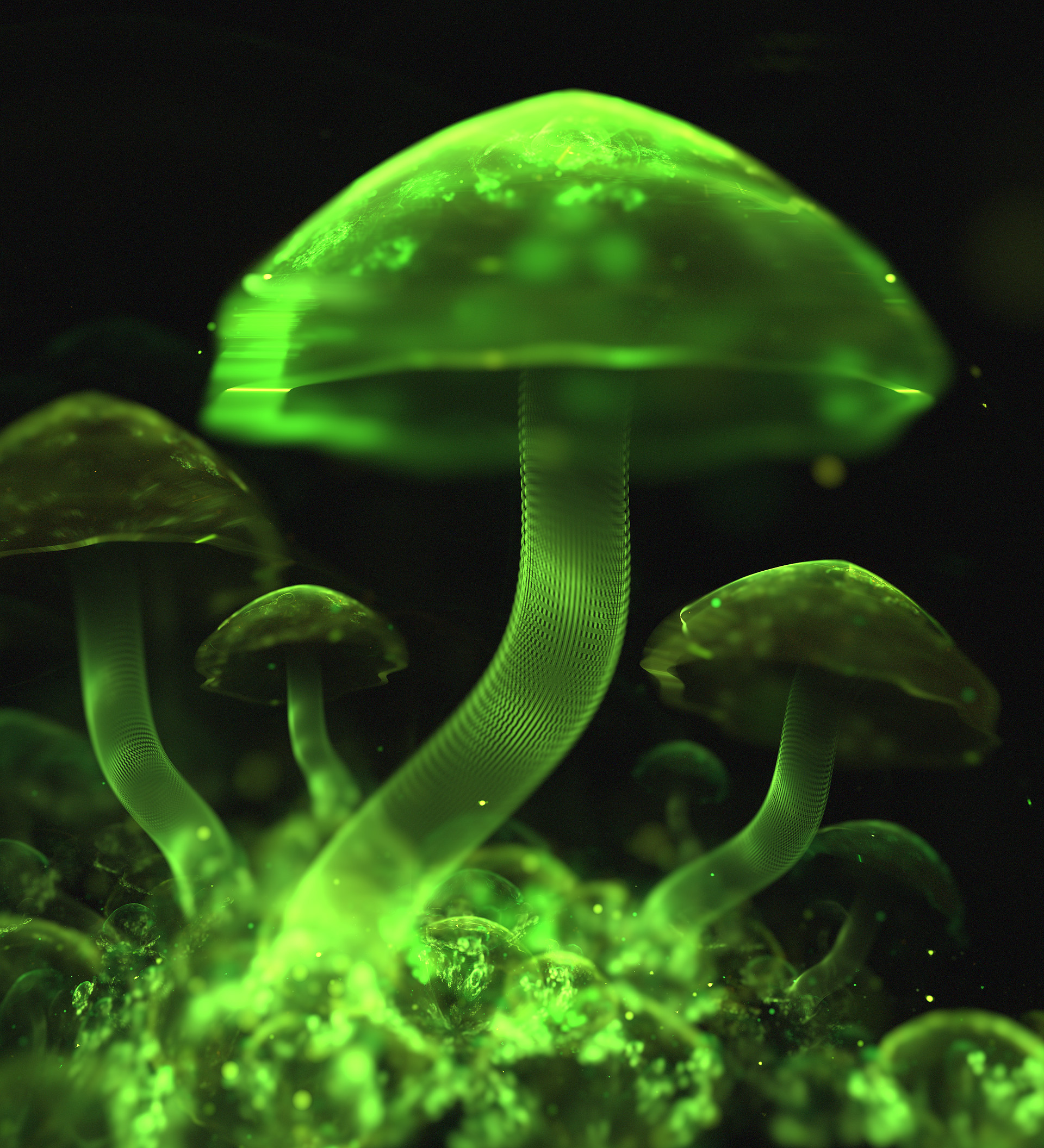 1920x2112, Fungi Art - HD Wallpaper 