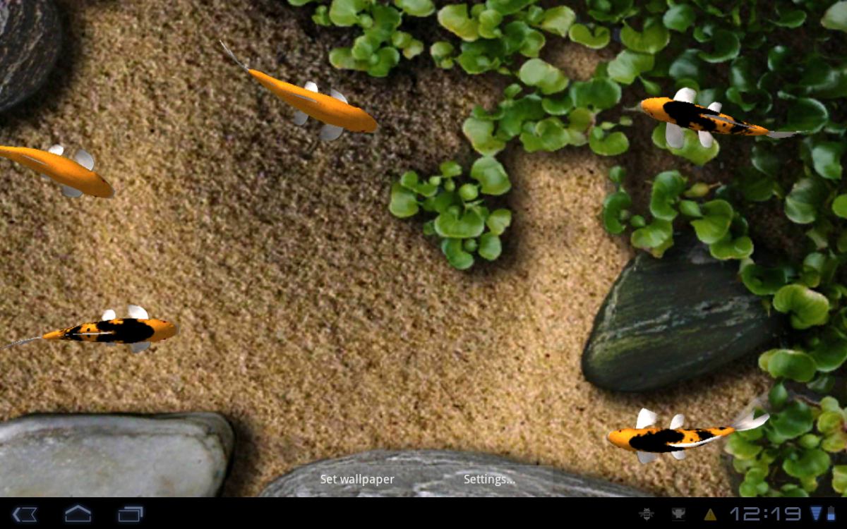 Koi Live Wallpaper - Fish Live Wallpaper Gif - HD Wallpaper 