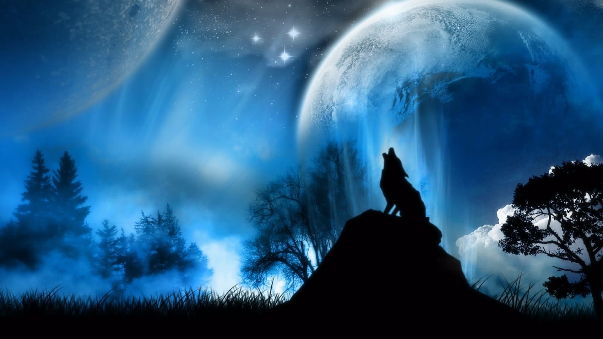 1920x1080, Moonlight Hd Wallpapers Backgrounds Wallpaper - Wolf In Moonlight Background - HD Wallpaper 