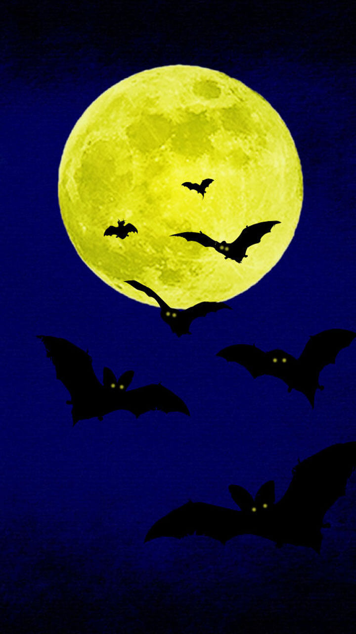 Wall Paper - HD Wallpaper 