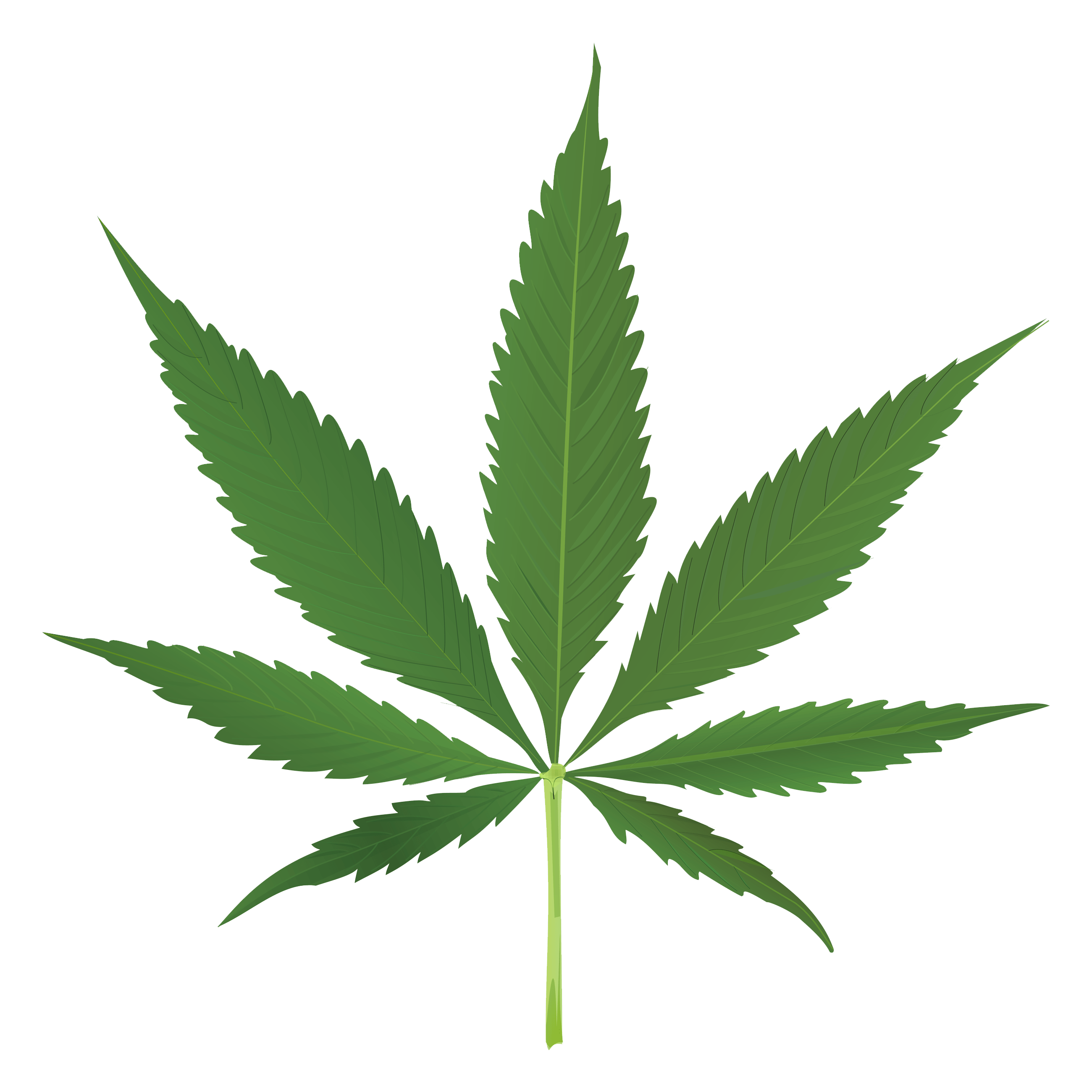 Pot Leaf No Background - Transparent Background Cannabis Leaf - HD Wallpaper 