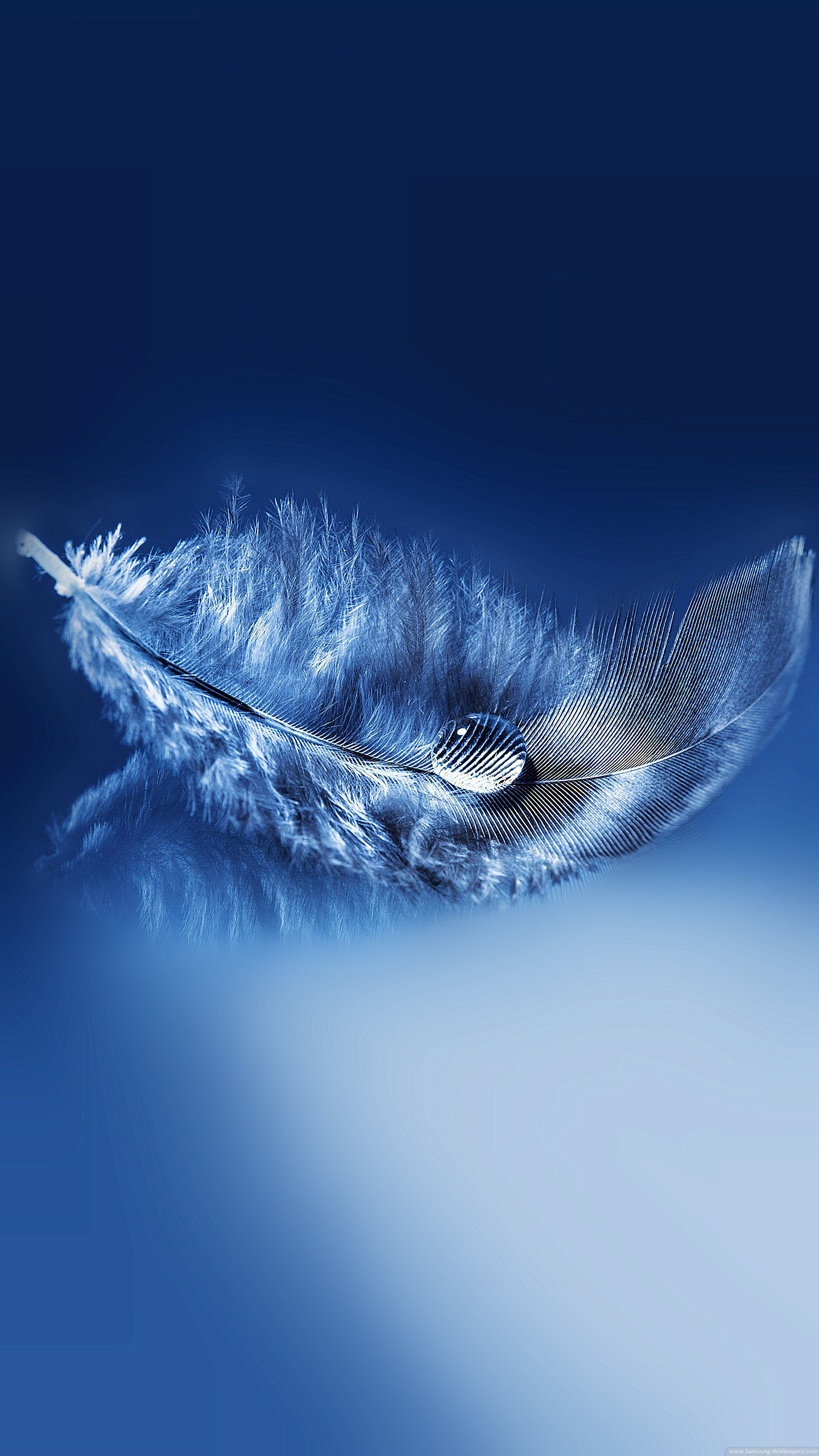 Black Background Feather - 1440x2560 Wallpaper 
