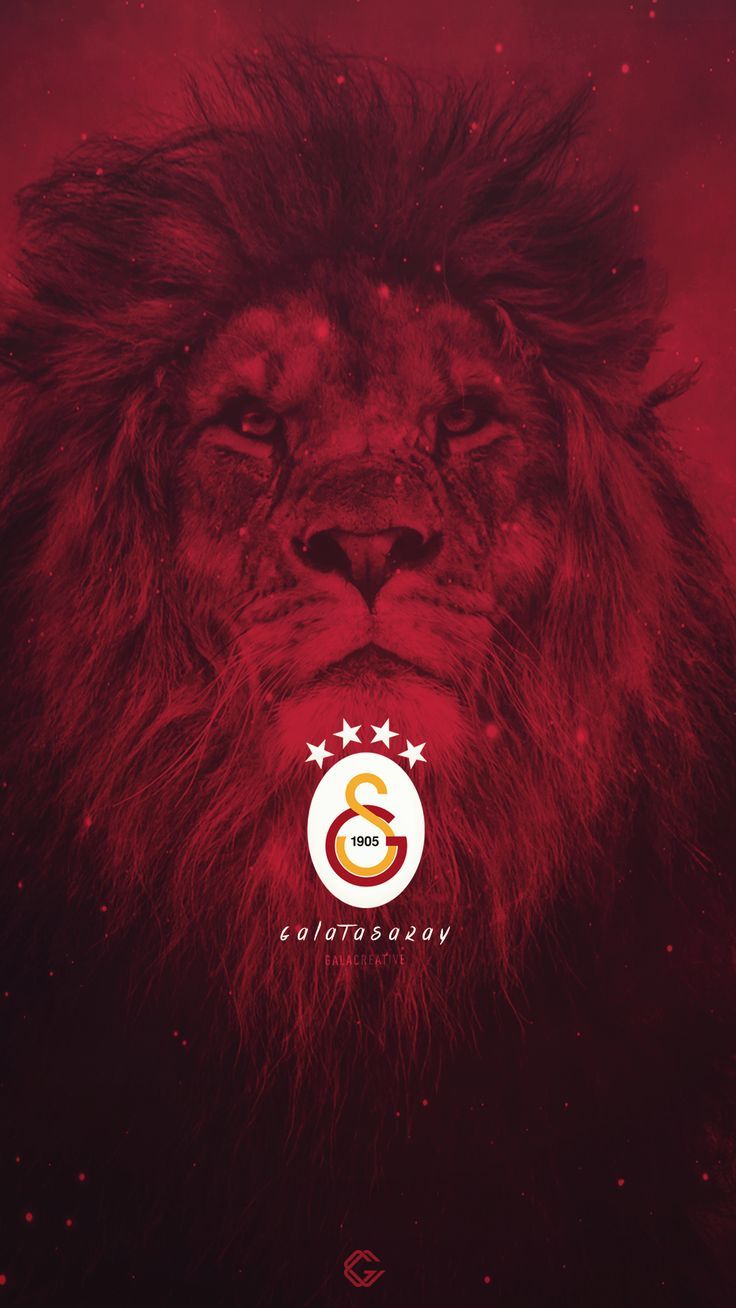 Aslan Galatasaray Duvar Kağıdı - HD Wallpaper 