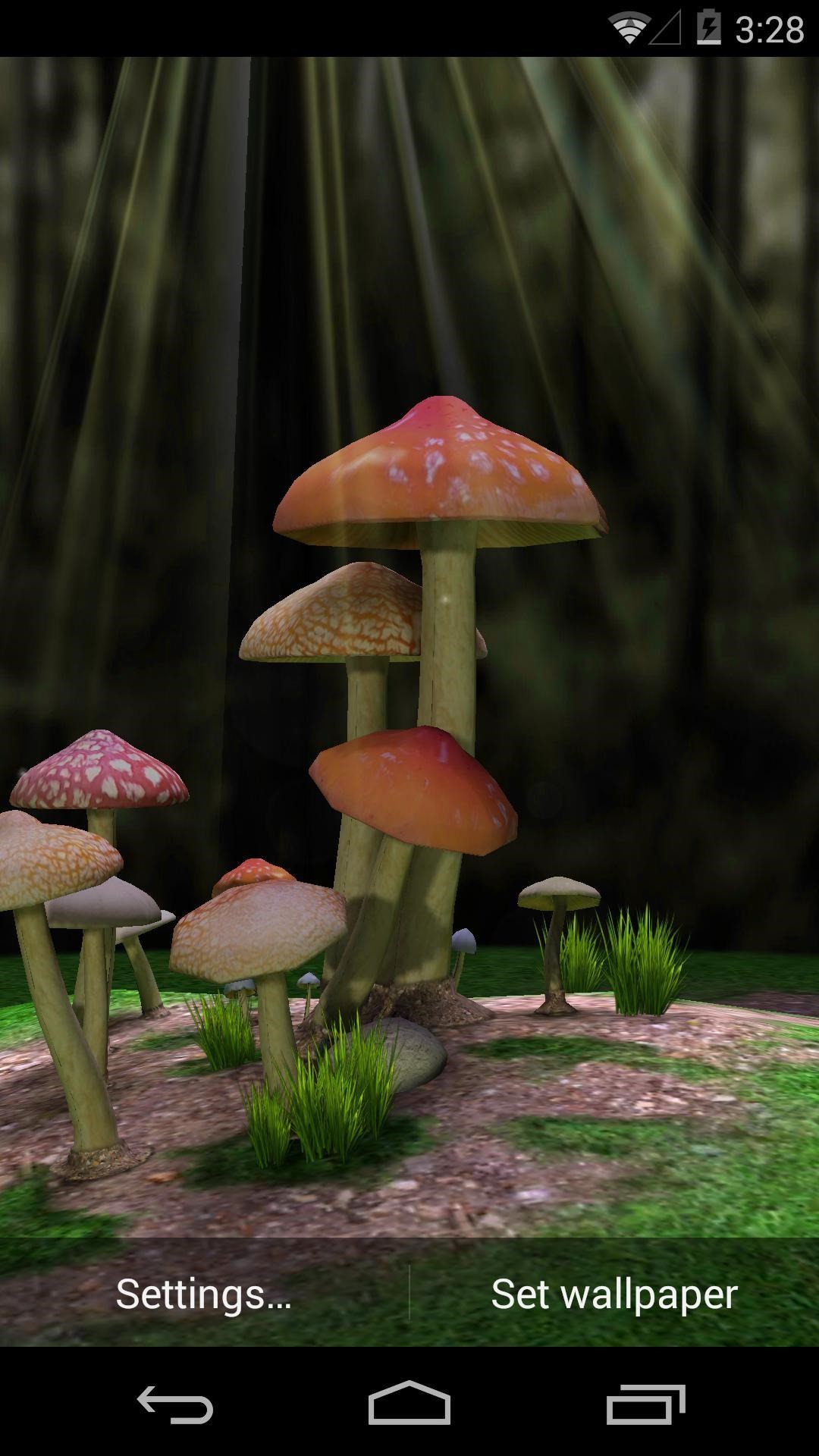 Mushroom 3d Live Wallpaper 
 Data-src - Agaricus - HD Wallpaper 