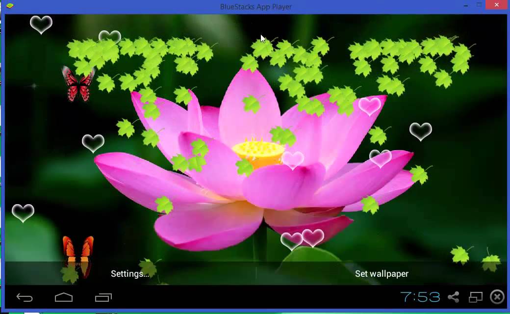 Kamal Ka Phool Wallpaper Hd - 1040x640 Wallpaper Kamal Ka Phool Wallpaper Hd - 1040x640 Wallpaper
