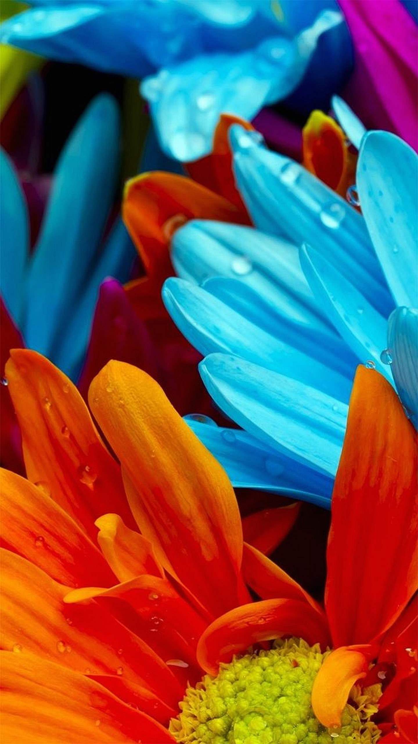 Samsung Galaxy S6 Live Wallpaper - تصویر زمینه آیفون 8 - 1440x2560 Wallpaper Samsung Galaxy S6 Live Wallpaper - تصویر زمینه آیفون 8 - 1440x2560 Wallpaper