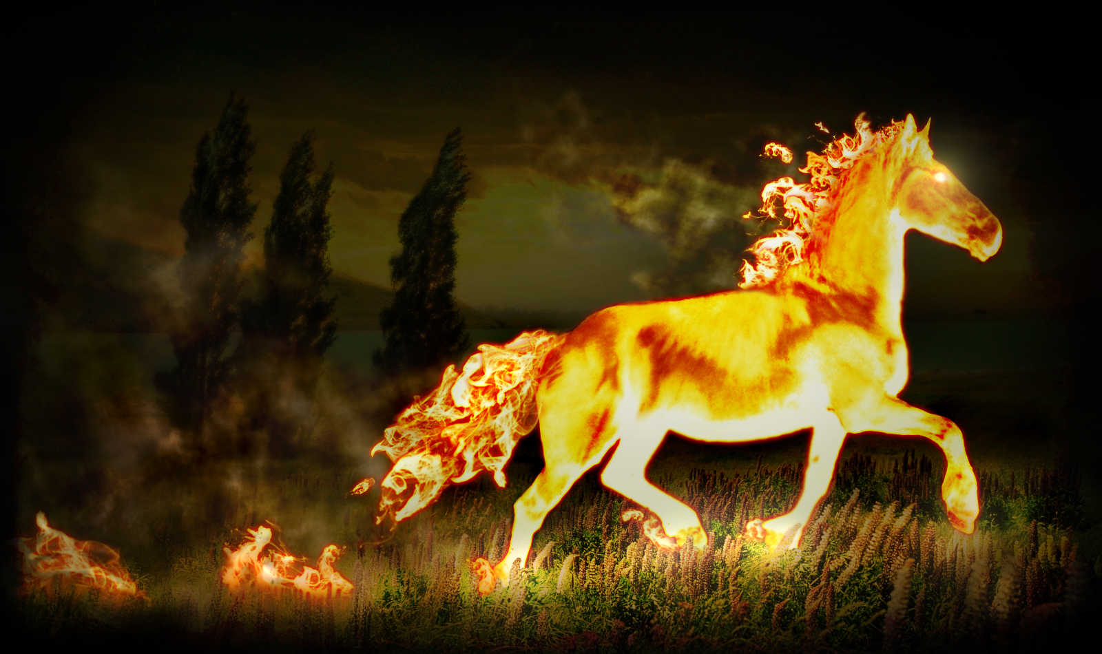 Horse Live Wallpaper - HD Wallpaper 
