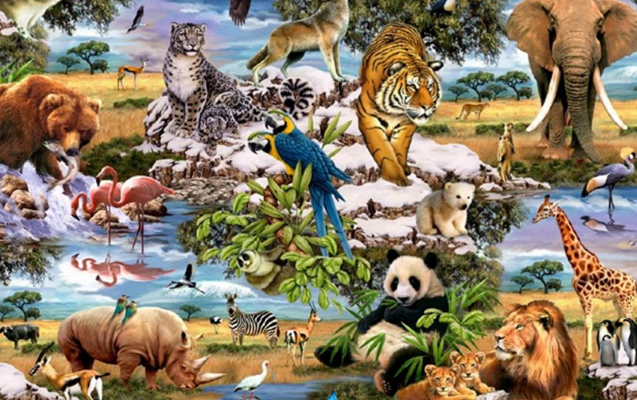 Jungle Animals Five Wallpapers - Todos Los Animales De La Selva - HD Wallpaper 