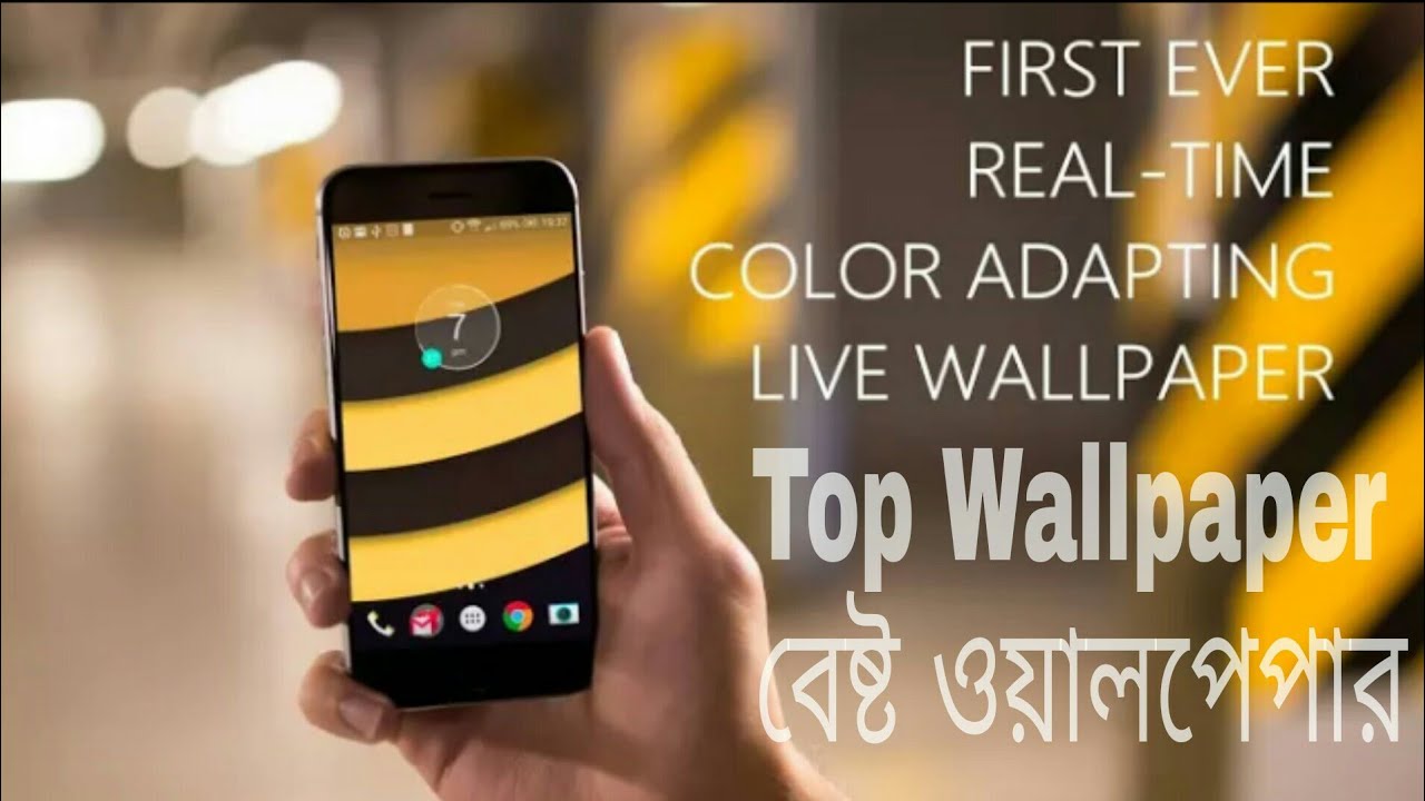 Chameleon Color Adapting Lwp - HD Wallpaper 