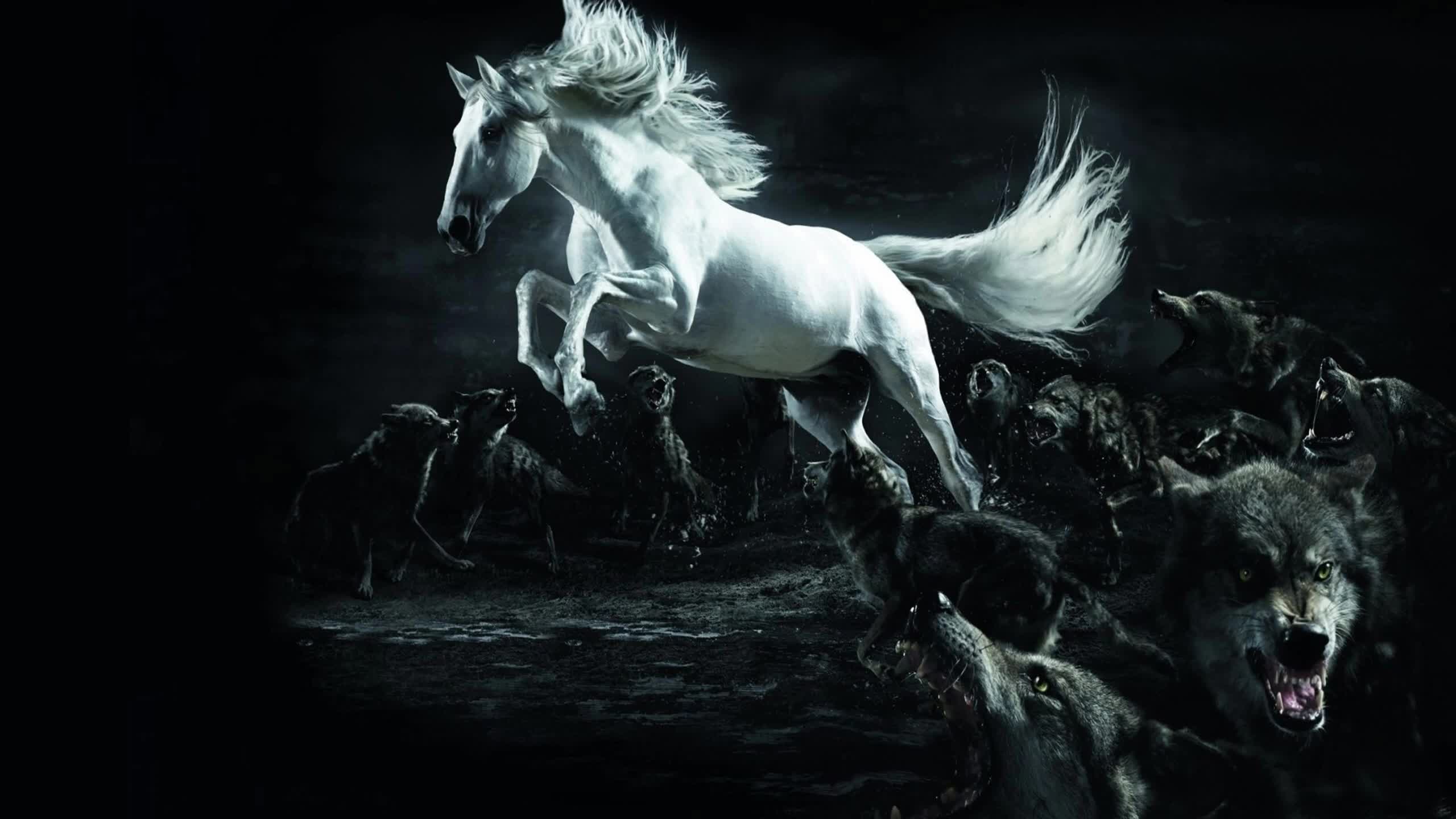 White Horse And Wolves 2k Live Wallpaper - White Horse And Wolves - HD Wallpaper 