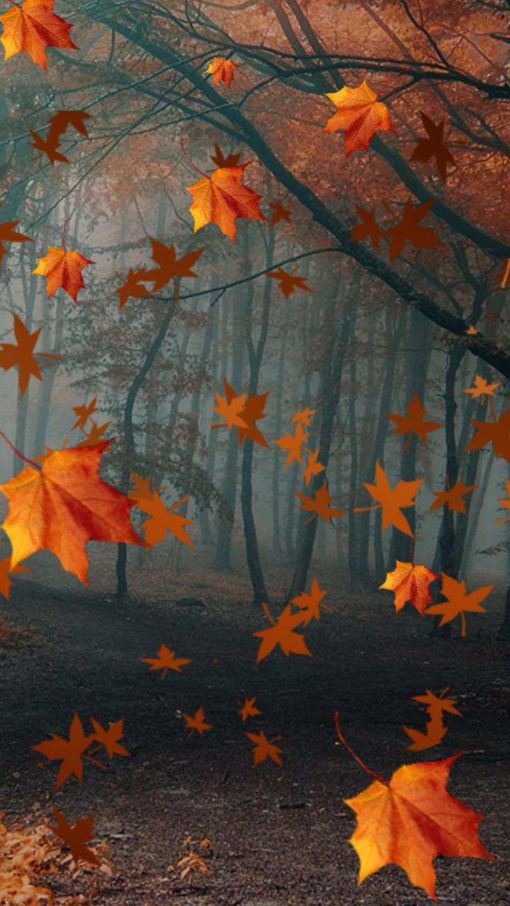 Leaves Live Wallpaper - Autumn Apple Watch Faces - HD Wallpaper 