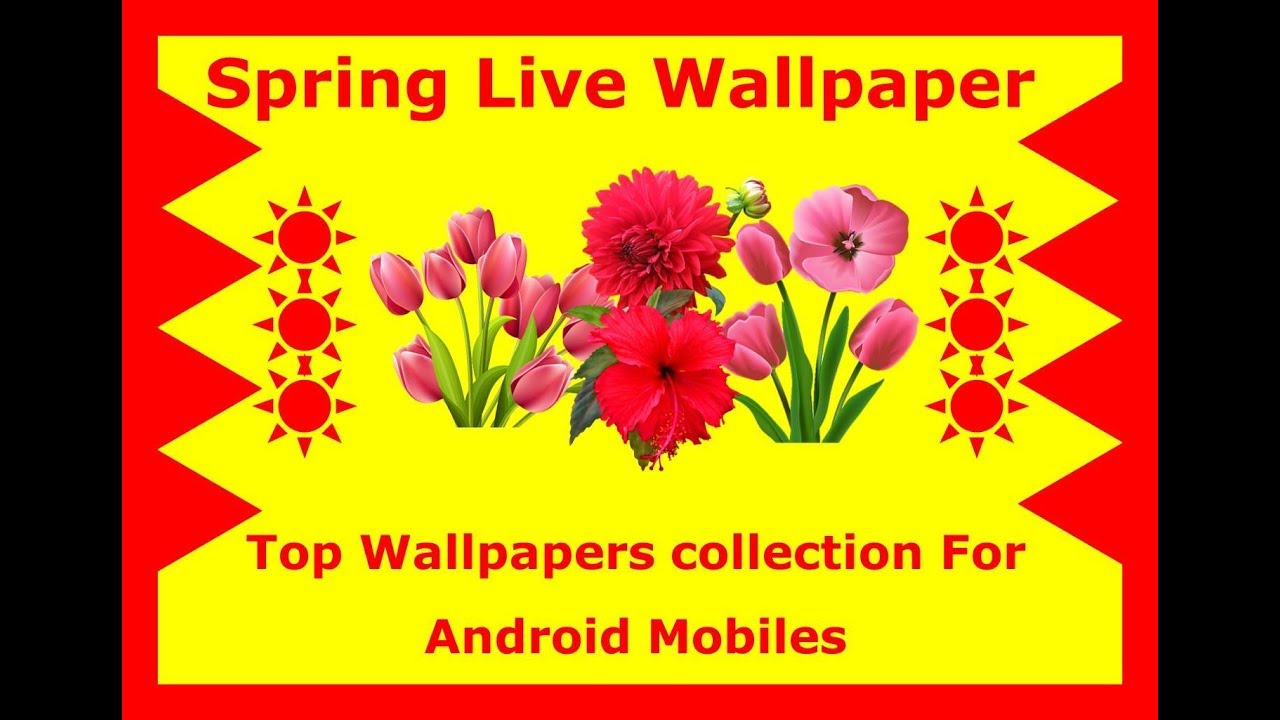 March 8 - HD Wallpaper 