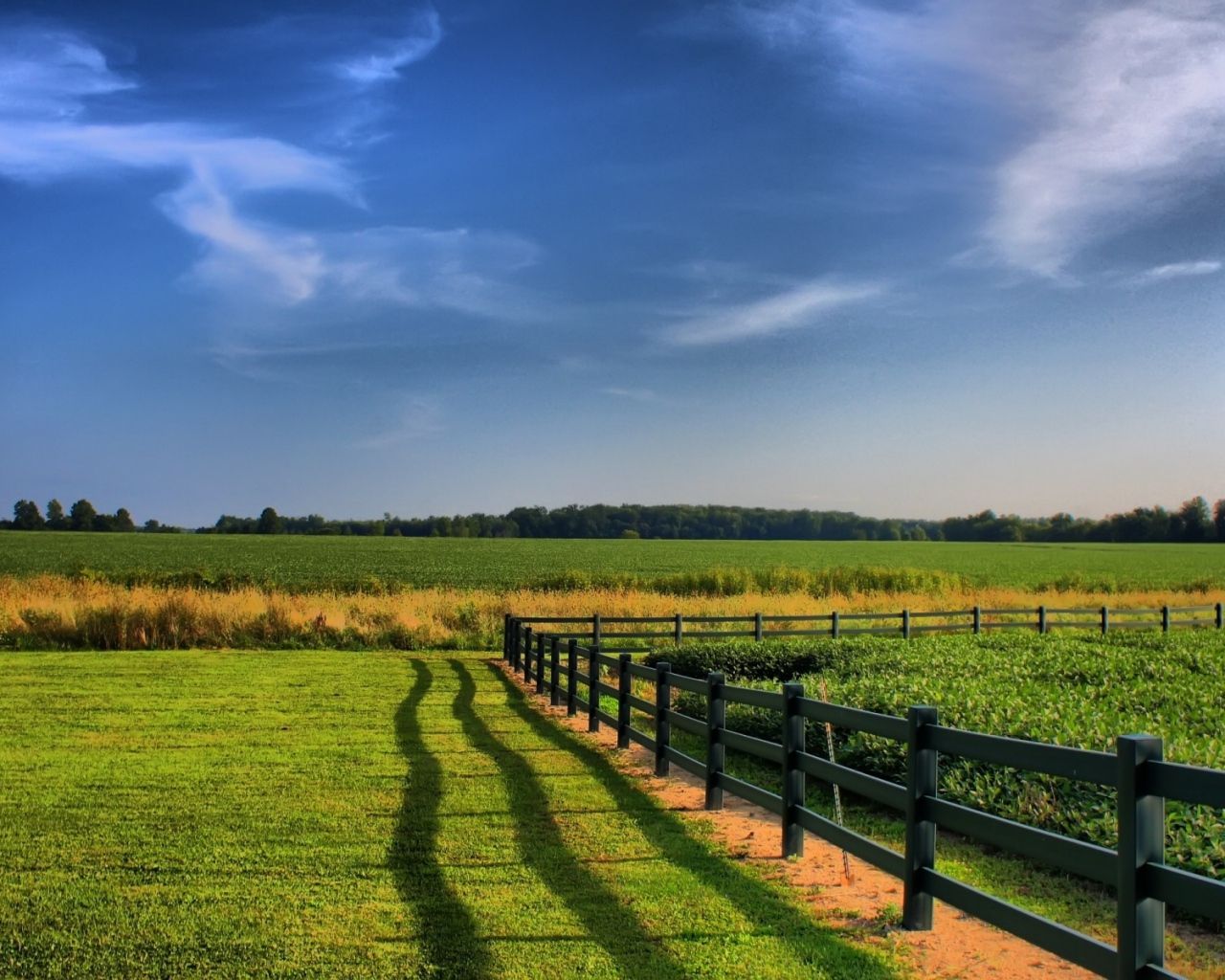 Agriculture Full Hd - HD Wallpaper 