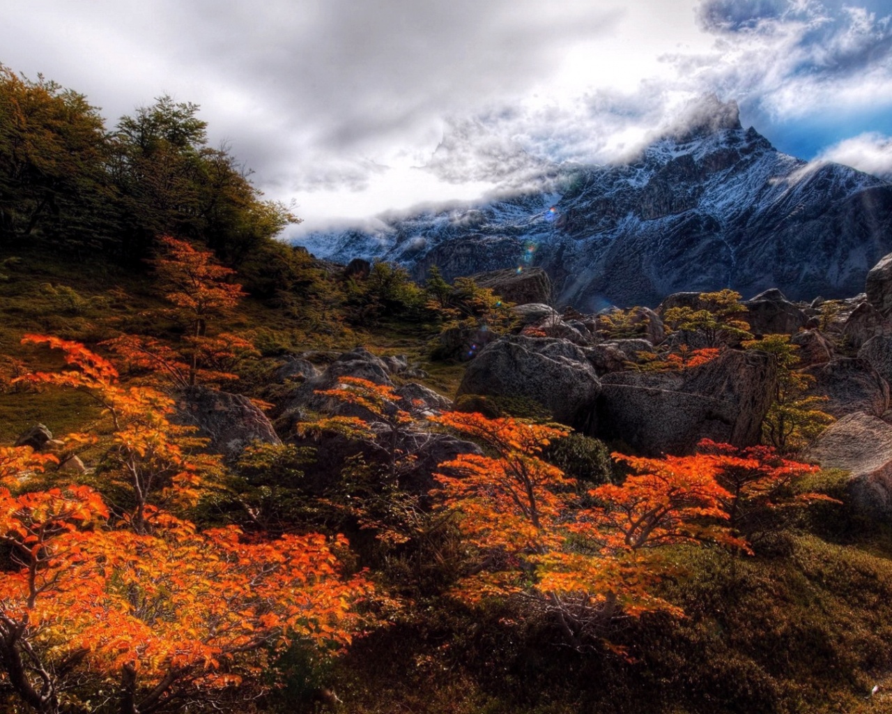 Nature Wallpaper Pc 1920 1080 - HD Wallpaper 