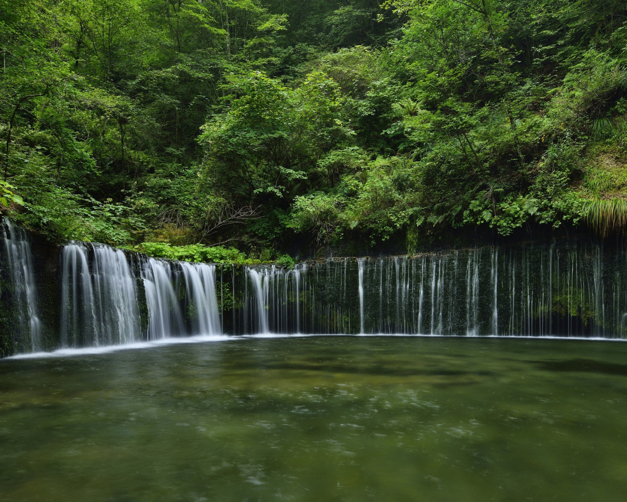 Trees, Lake, Waterfall, Nature, Forest, Wallpaper - Shiraito Falls - HD Wallpaper 