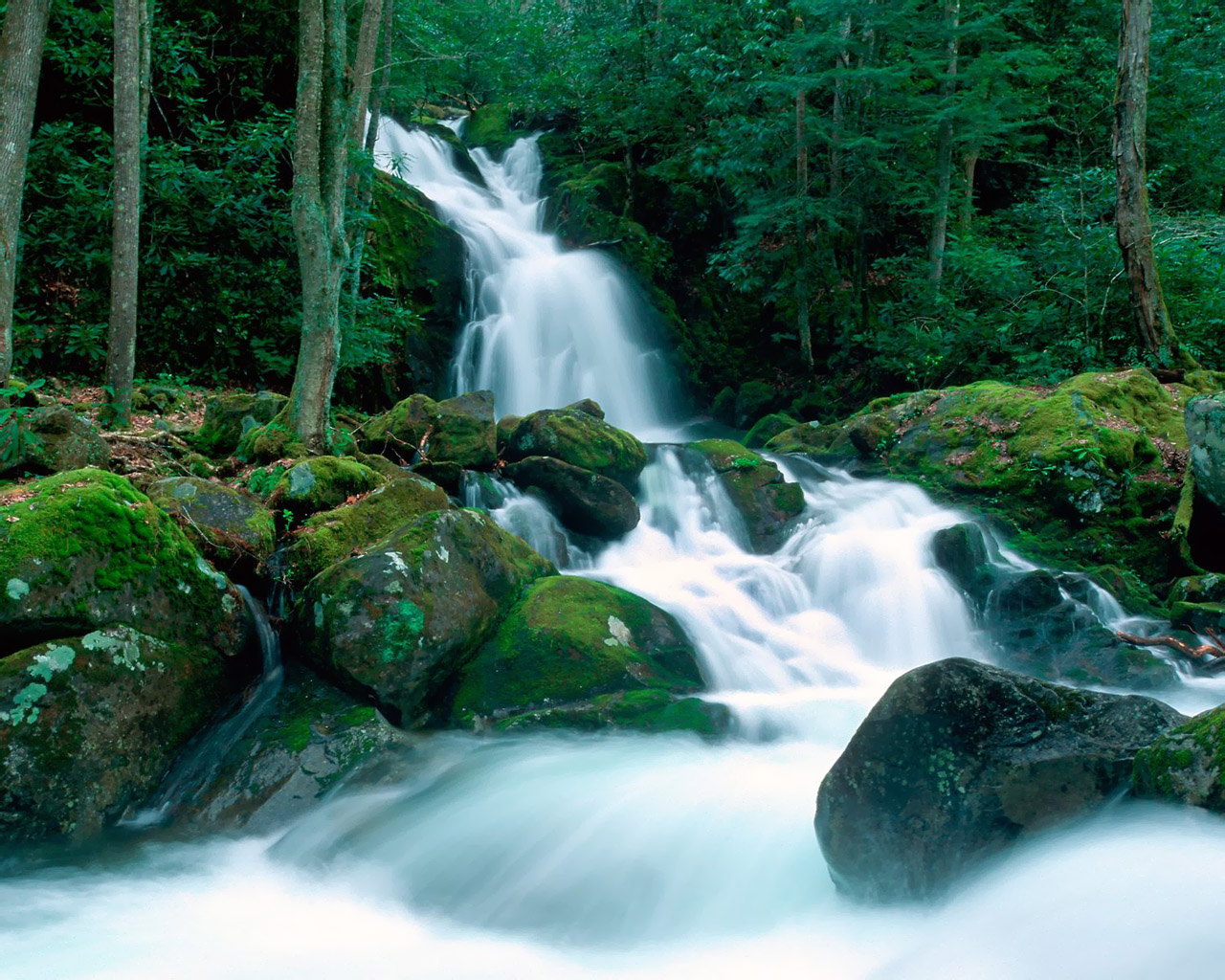 World Landscape Wallpapers 1280*1024 No - High Resolution Smoky Mountains - HD Wallpaper 