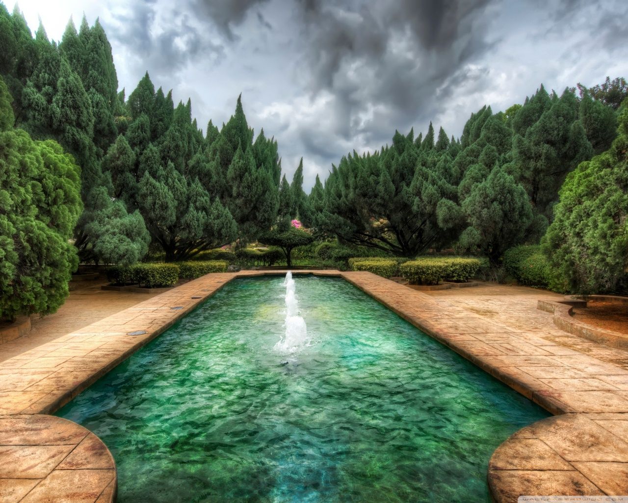 Puchi Meaning In Hindi - HD Wallpaper 