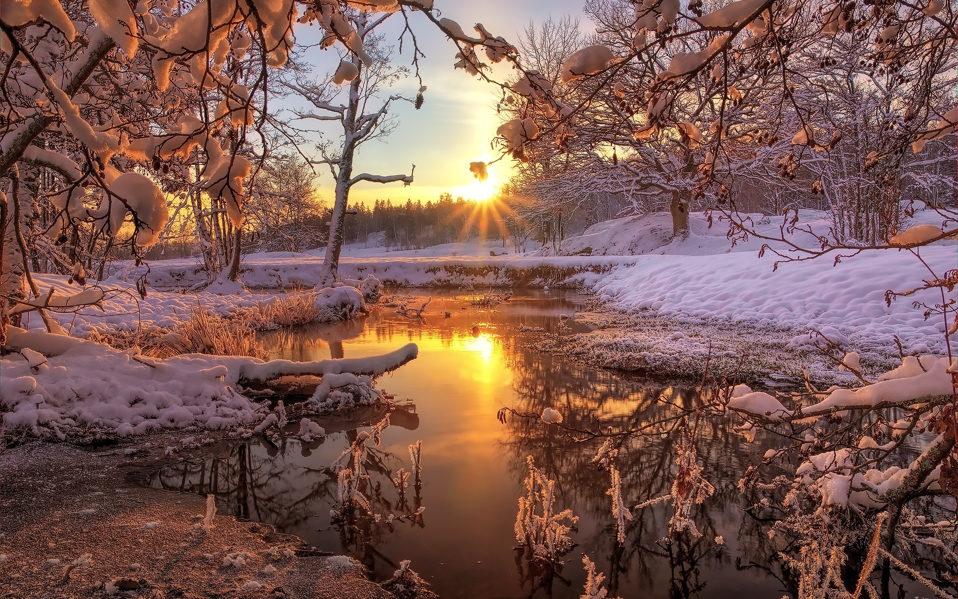Wallpaper Winter, Snow, Forest, Trees, River, Dawn, - Nature Winter Facebook  Cover - 1920x1200 Wallpaper 