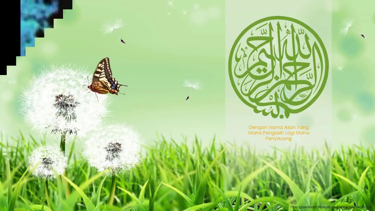 Background Power Point Tentang Tumbuhan - 1280x720 Wallpaper - Teahub.io