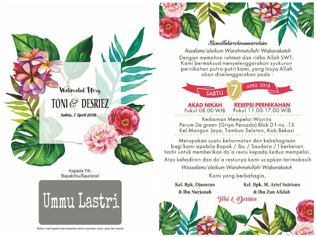 Rosa Glauca - HD Wallpaper 