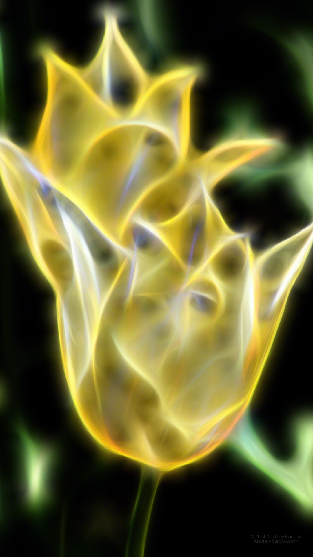 Lenovo K6 Power Background - Tapety Na Telefon Ruchome Natura - 1080x1920 Wallpaper Lenovo K6 Power Background - Tapety Na Telefon Ruchome Natura - 1080x1920 Wallpaper