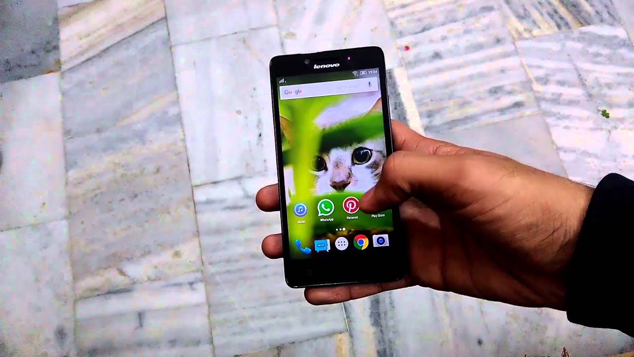 可爱 动物 图片 - HD Wallpaper 