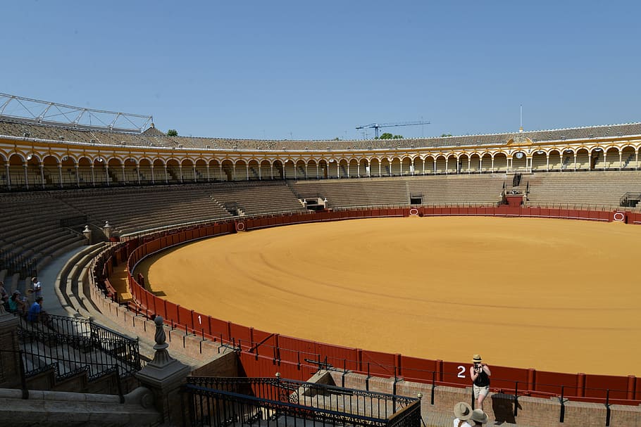 Corrida, Sevilla, Spain, Tourism, Trivia, Sport, Stadium, - Seville - HD Wallpaper 